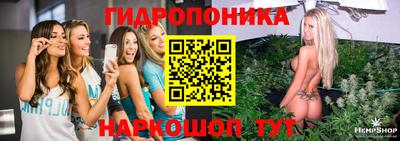 spice Краснодар