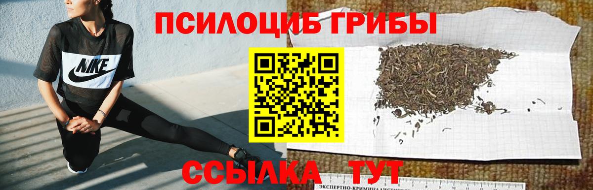 Псилоцибиновые грибы Psilocybine cubensis  Вход с VPN  Саяногорск 