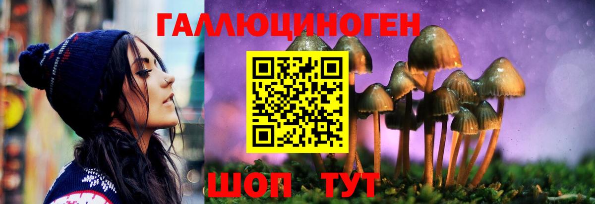 Псилоцибиновые грибы MAGIC MUSHROOMS Саяногорск
